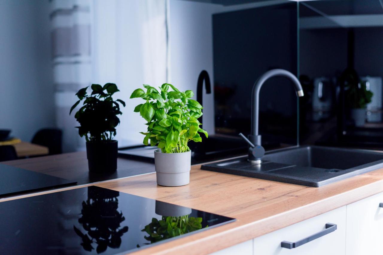 Apartamenty U Maciusia Duszniki Zdrój Esterno foto